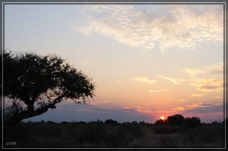 Windhoek – Kalahari Anib