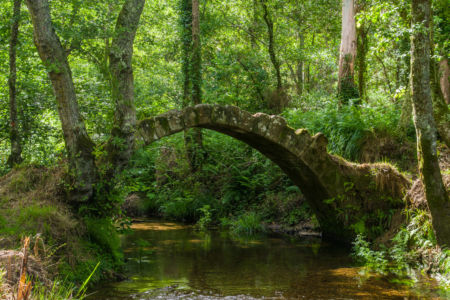 Ponte Medieval do Río Sieira