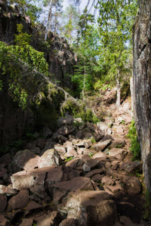Skuleskogen Nationalpark