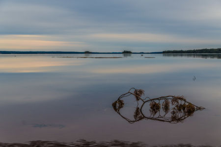 Blick auf Orsasjön